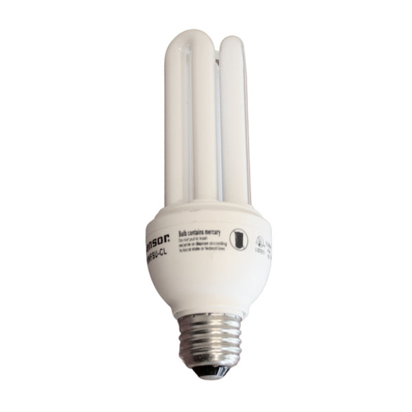 Compact Fluorescent Bulb sold Wattage: 200 W / Daylight